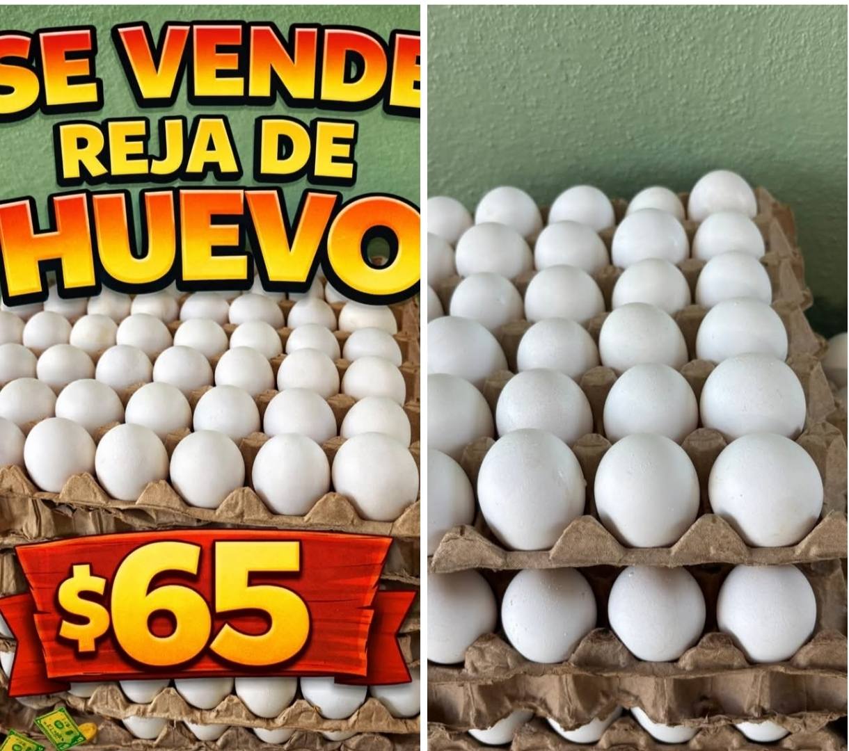 Servicio a Domicilio de Rejas y Huevos para Negocios y Público