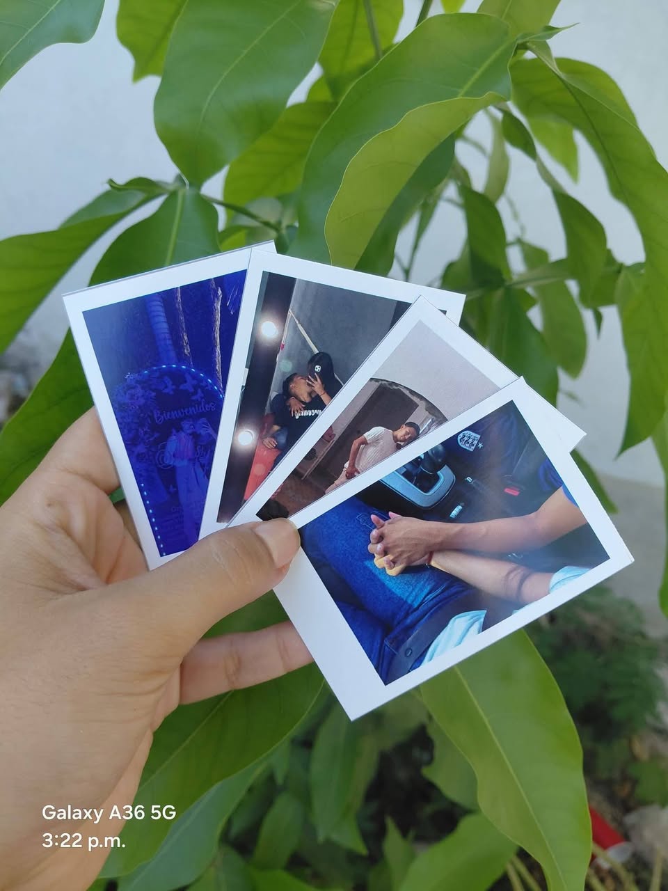 Servicio De Fotos Polaroid Y Cuadros
