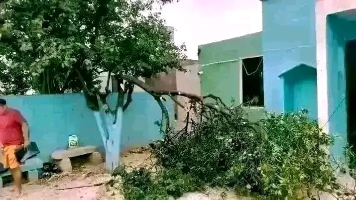 Servicios completos de limpieza, jardinería y manejo de residuos en Yucatán