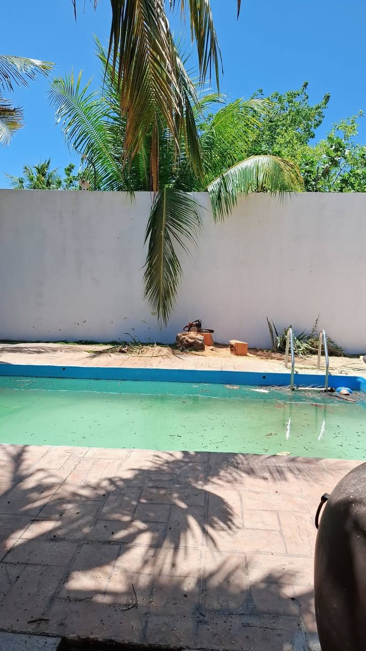 Servicios de Jardinería