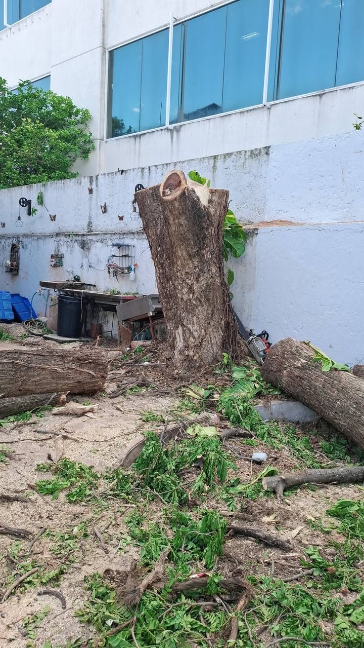 Servicios de Jardinería