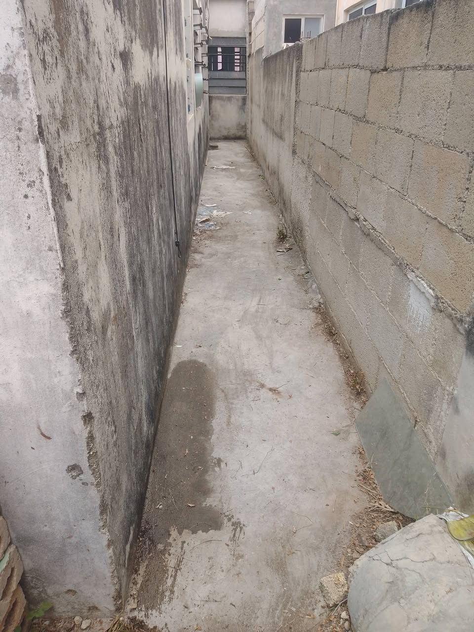 Servicios de Limpieza y Mantenimiento