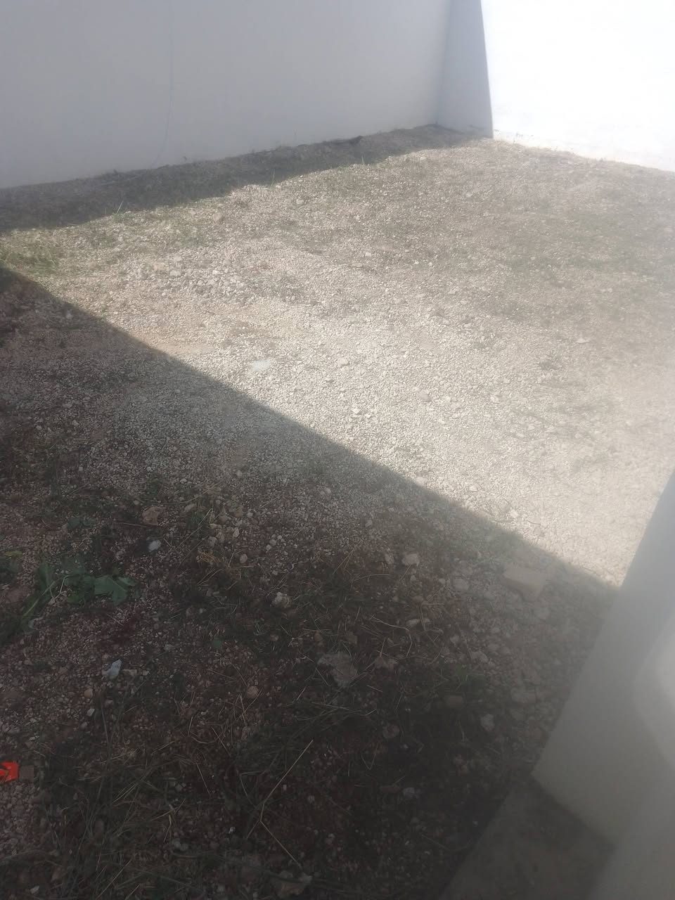 Servicios de Limpieza y Mantenimiento