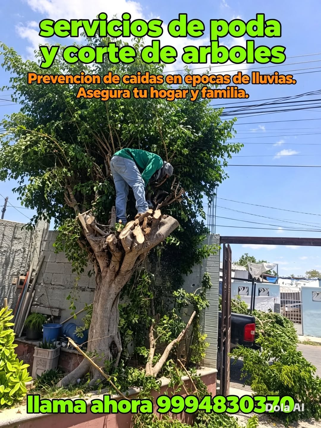 Servicios profesionales de poda y corte de árboles para eliminar riesgos y prevenir daños