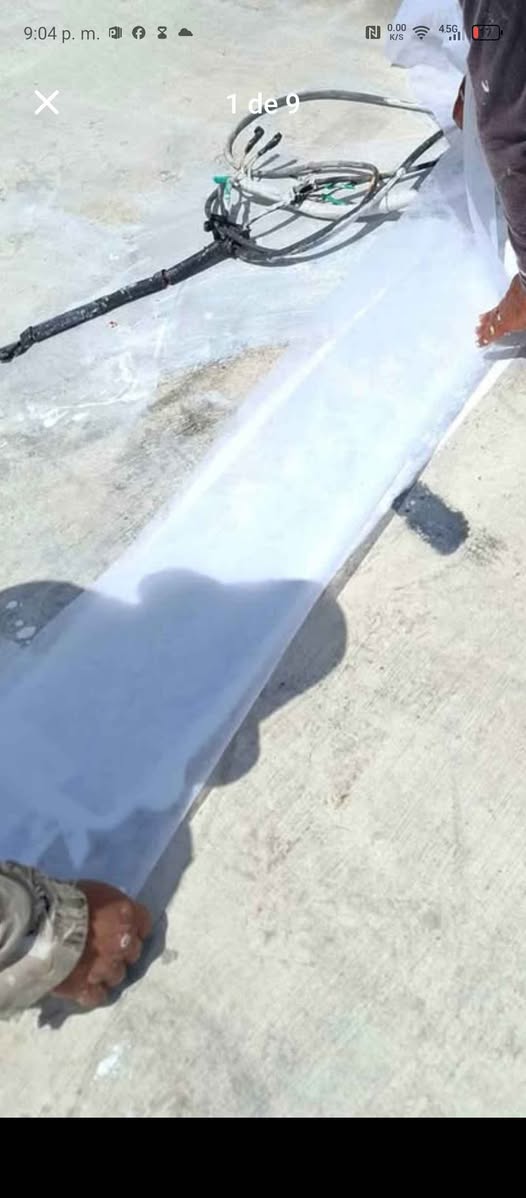 Solución profesional para humedad y moho en paredes por fuertes lluvias