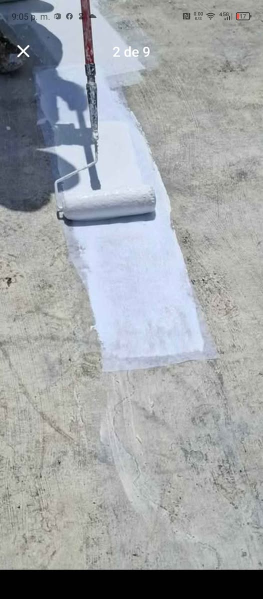 Solución profesional para humedad y moho en paredes por fuertes lluvias