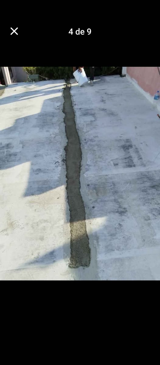 Solución profesional para humedad y moho en paredes por fuertes lluvias