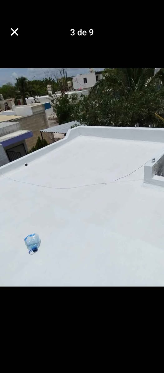 Solución profesional para humedad y moho en paredes por fuertes lluvias