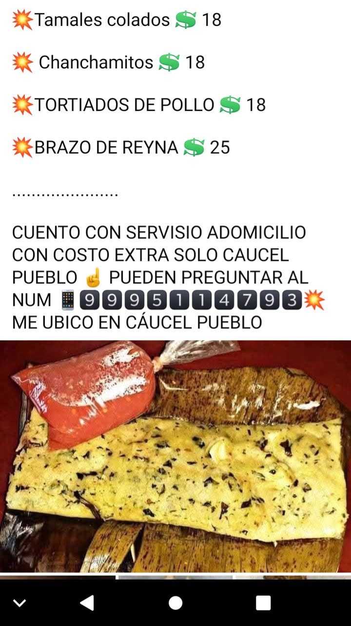 Tamales y Antojitos a Domicilio