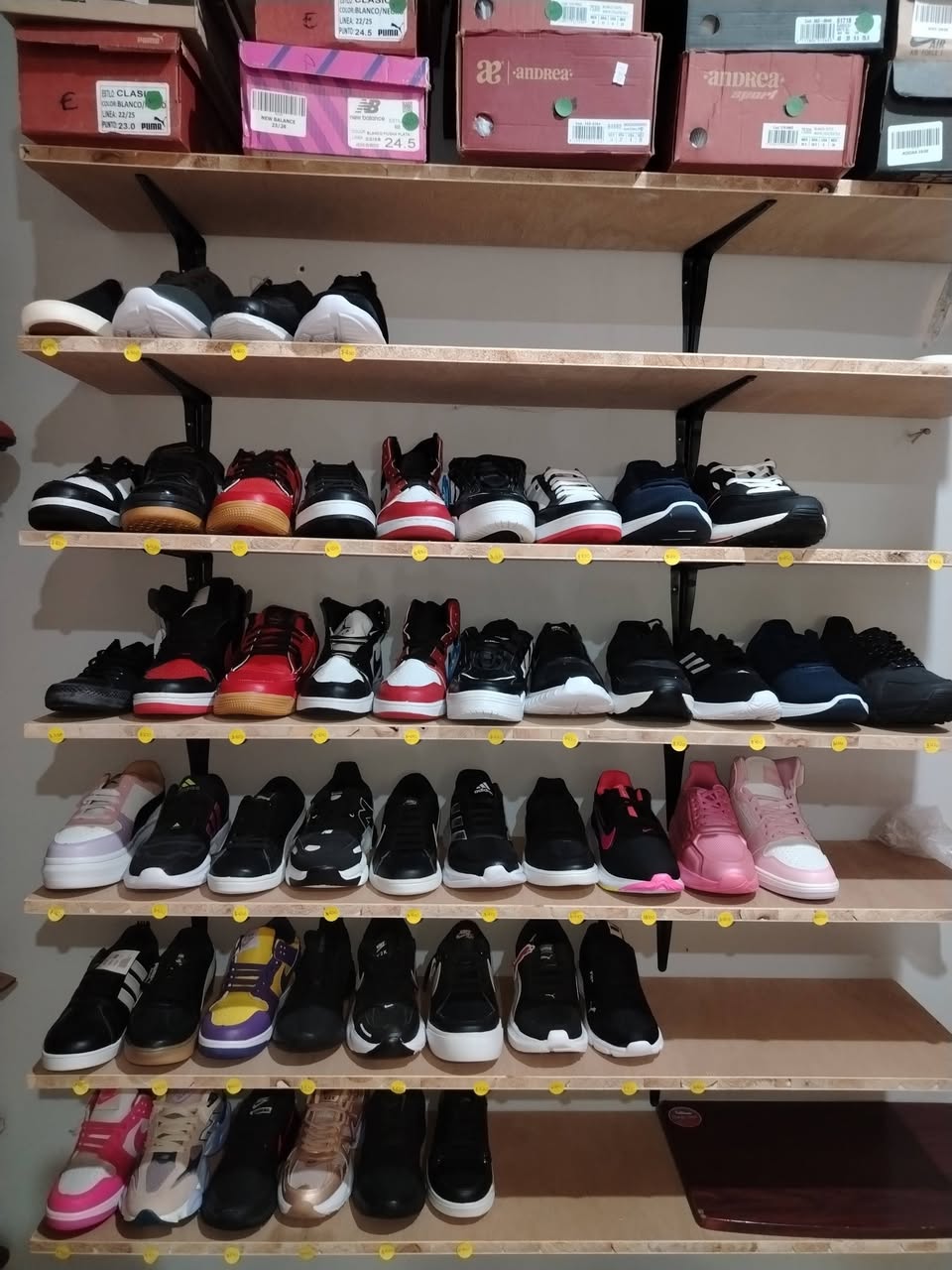 Tenis Ucú: Calzado deportivo, gorras, billeteras y accesorios para dama, caballero y niños