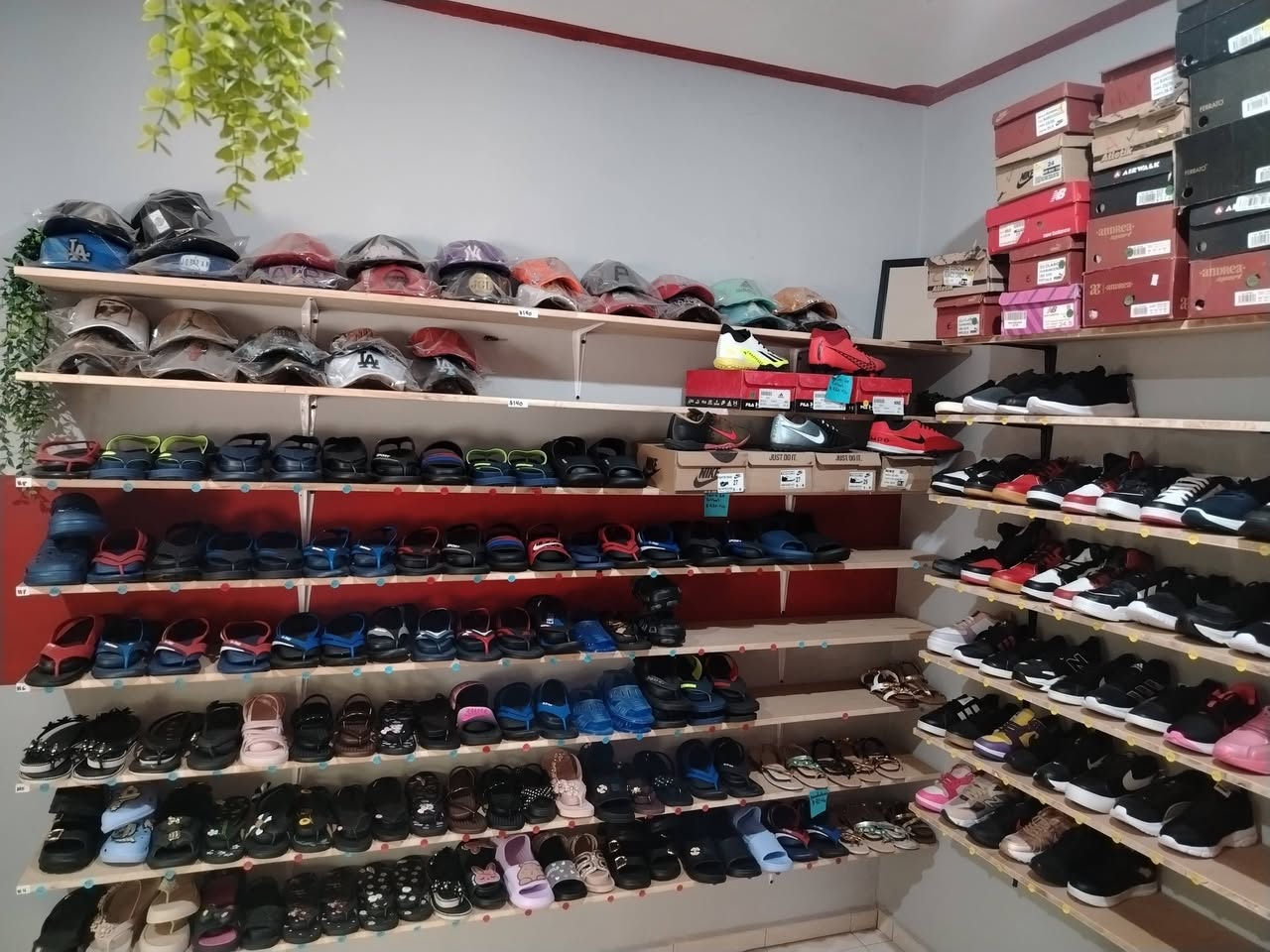 Tenis Ucú: Calzado deportivo, gorras, billeteras y accesorios para dama, caballero y niños