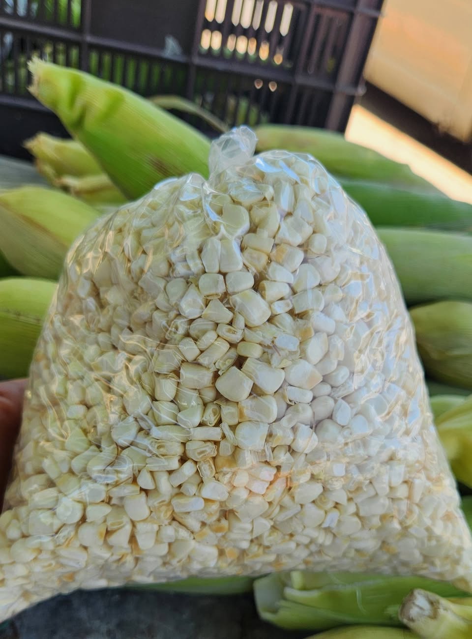 Venta de Elotes Frescos y Limón