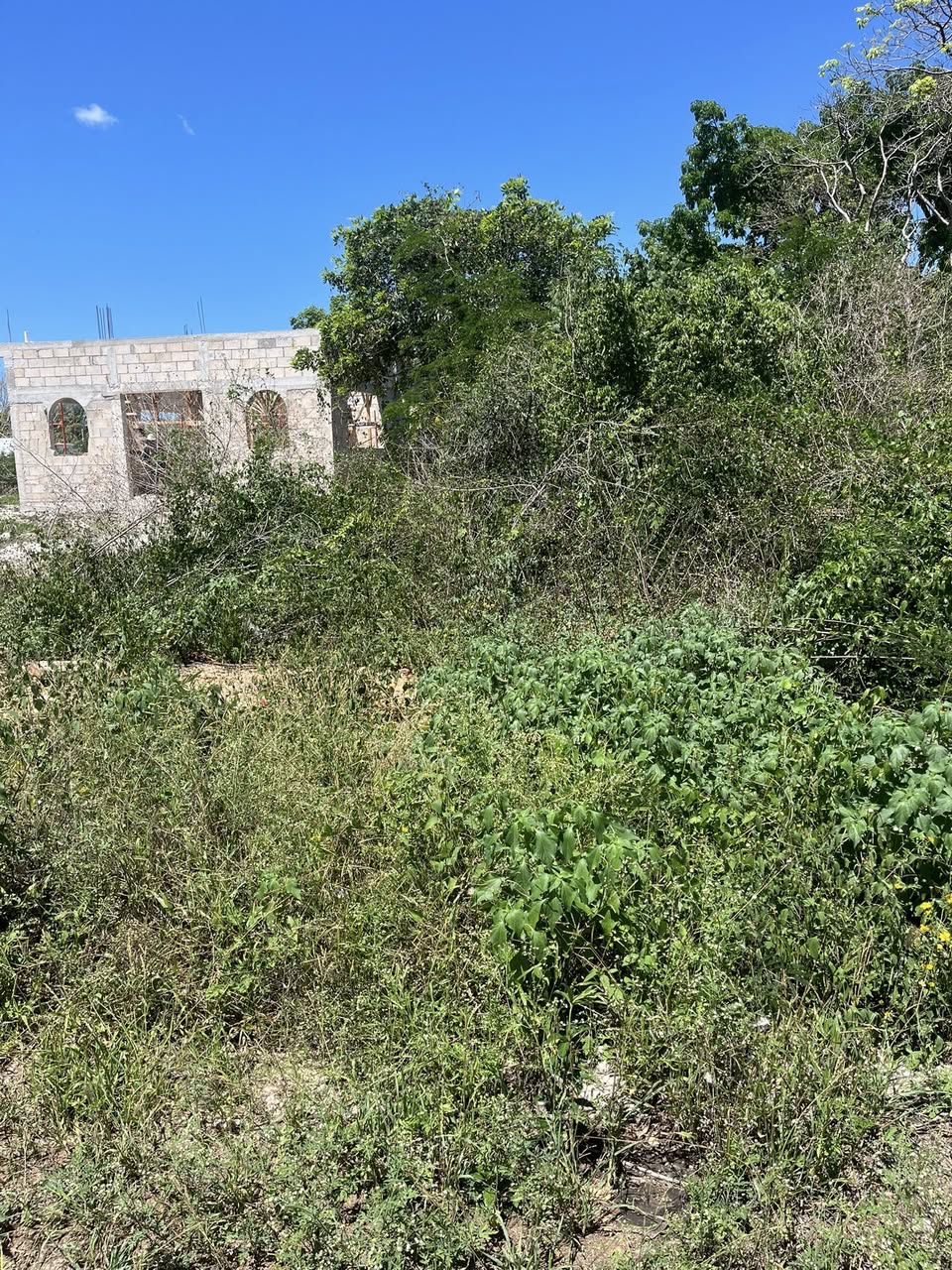 Venta de Lotes en Colonia San Francisco
