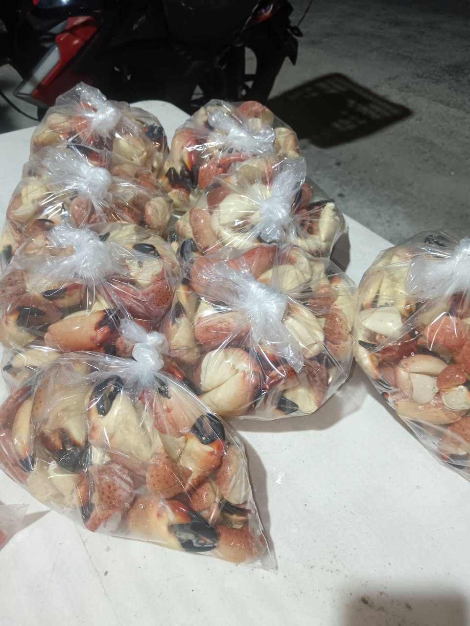 Venta de Productos del Mar
