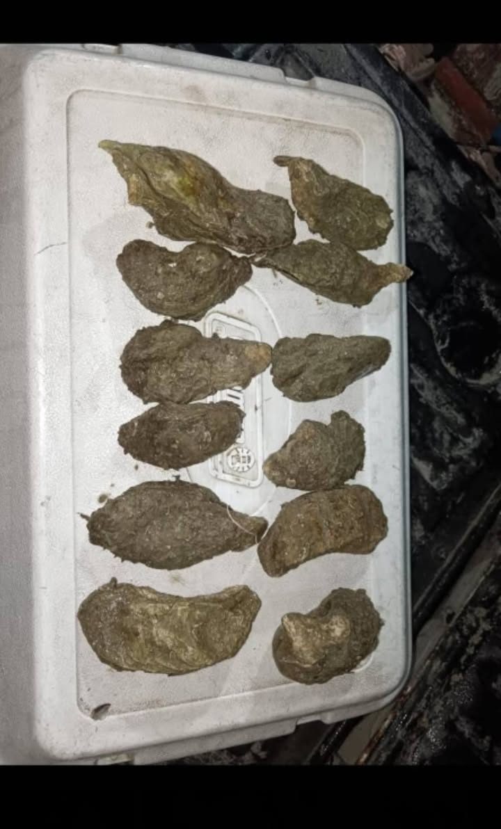 Venta de Productos del Mar