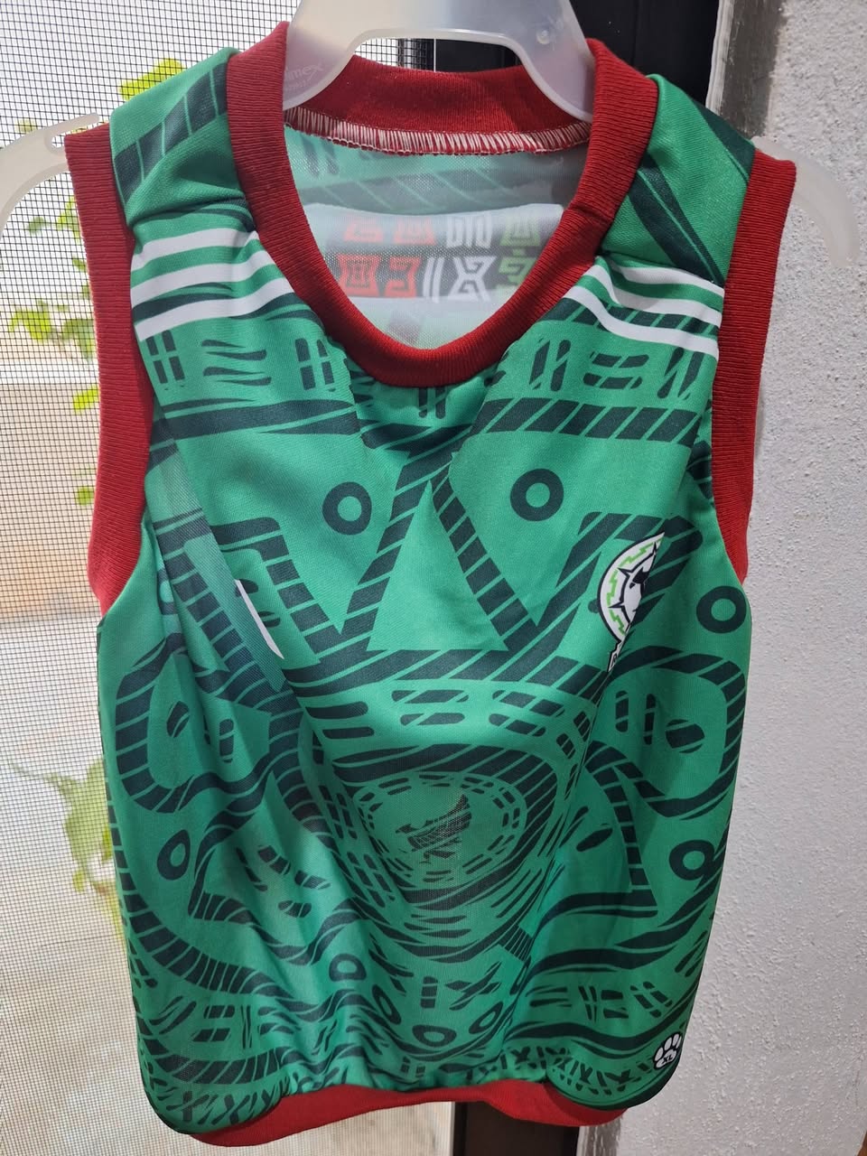 Vestuario y looks temáticos para mascotas y dueños de fútbol del Mundial