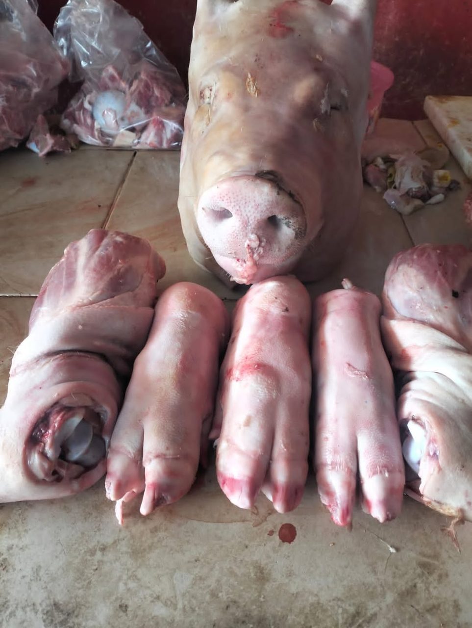 Vísceras y carnes frescas — San Camilo