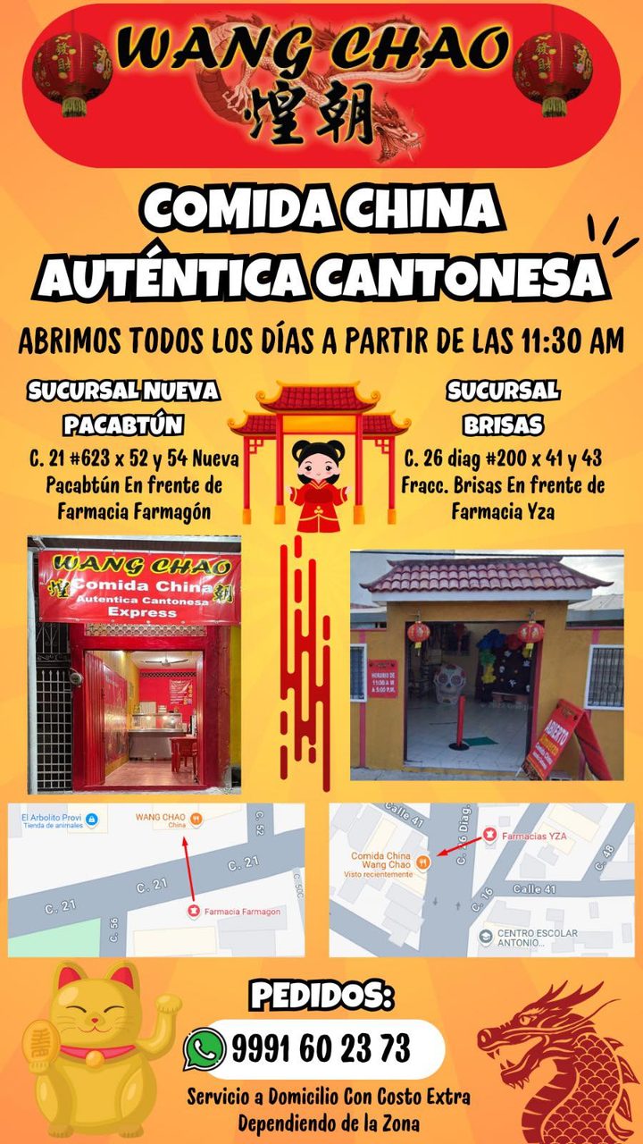 Wang Chao Comida China Auténtica Cantonesa — Vergel