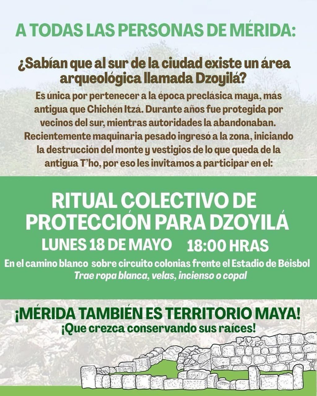 Dzoyila, sitio arqueologico prehispanico al sur de Merida, en riesgo de destruccion