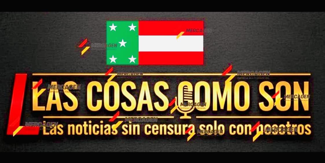 Ciudadano responde ante banqueta invadida de maleza en Mérida
