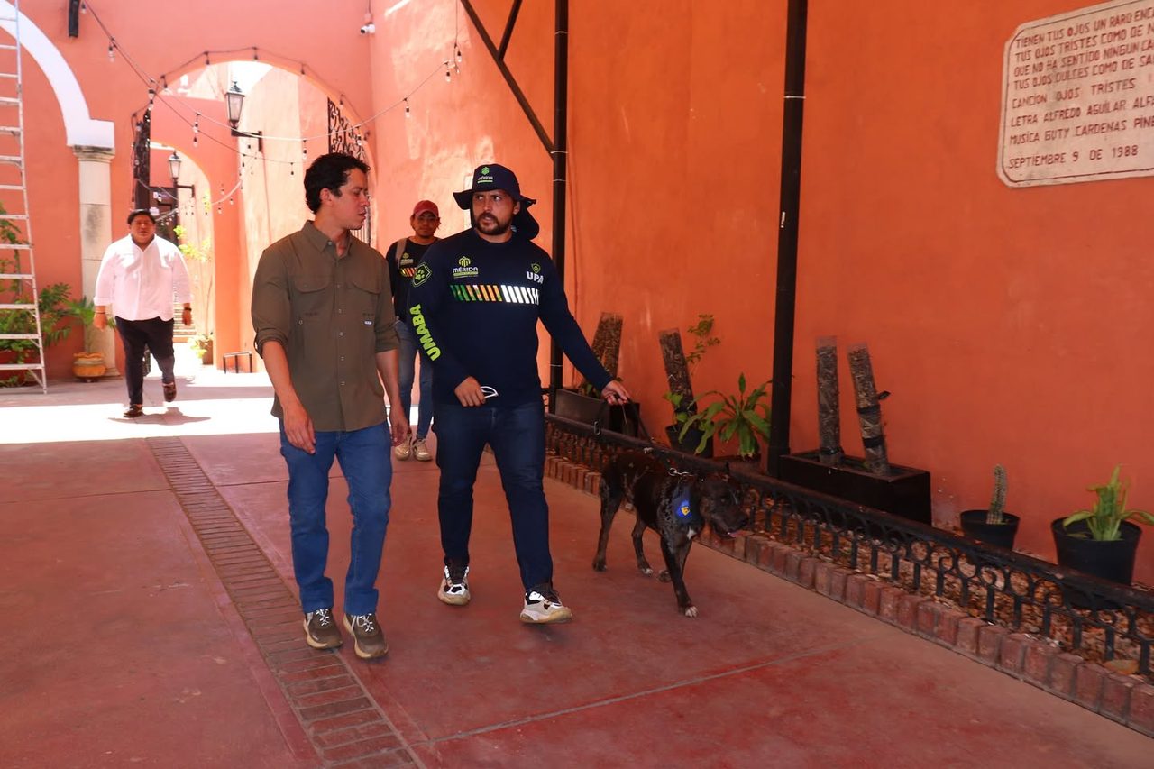 Zeus recibe atención veterinaria tras entrega voluntaria