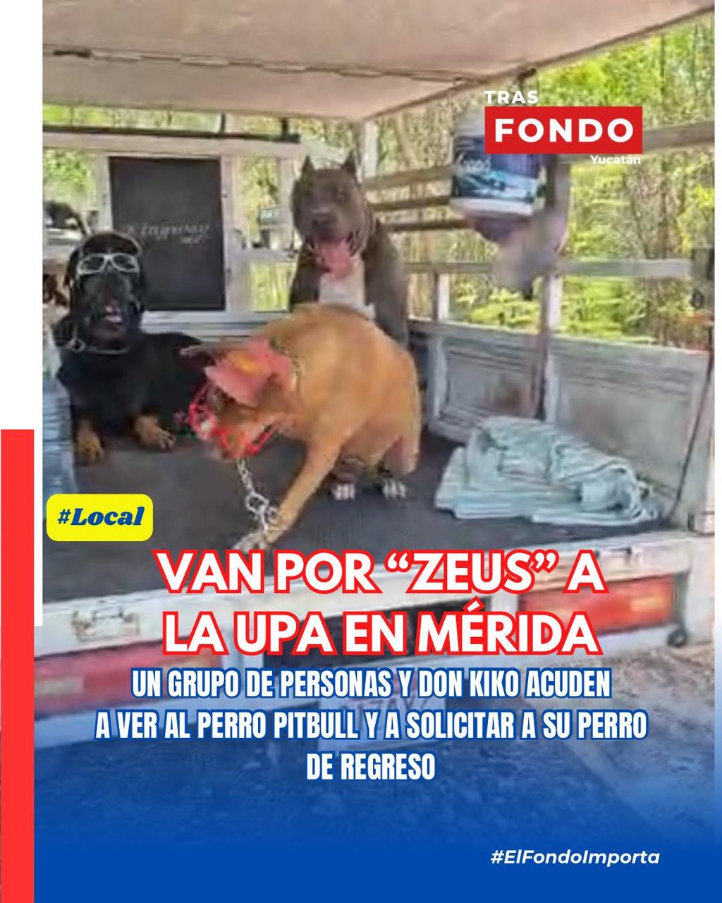 Van por Zeus a la UPA en Mérida