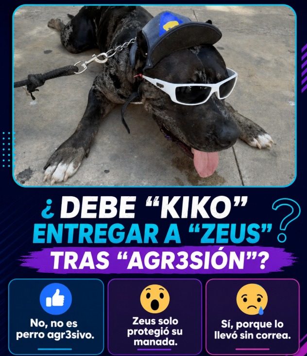 El debate sobre Zeus: ¿agresión o defensa instintiva?
